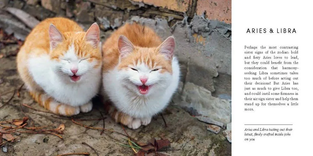 Catstrology: Unlock the Secrets of the Stars with Cats