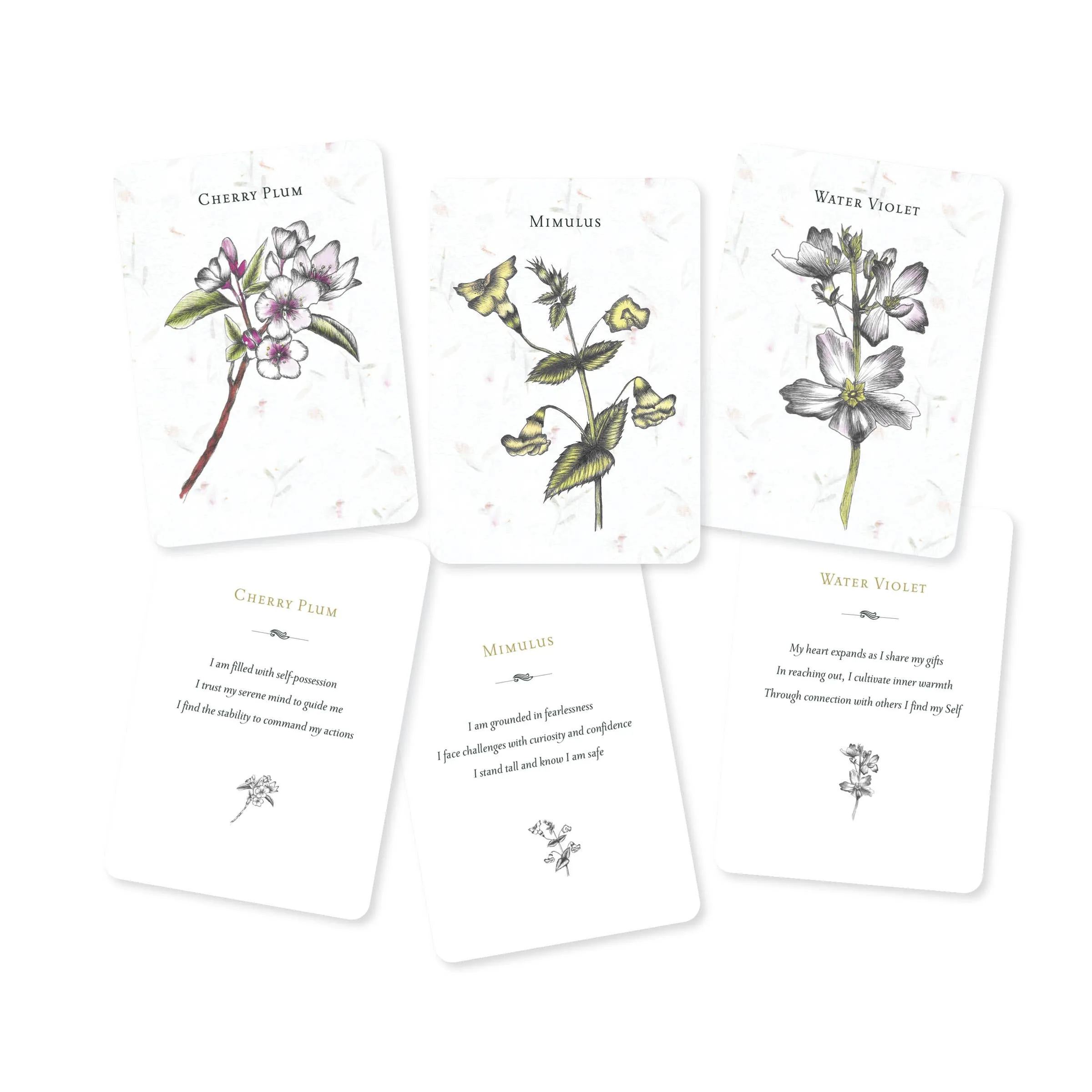 Listening to Flowers: Positive Affirmations to Invoke the He