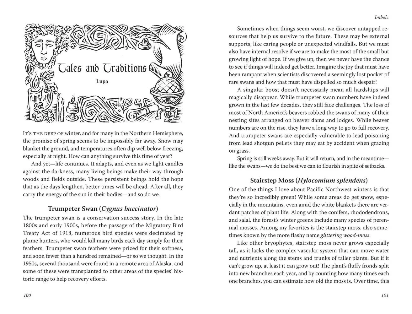 Llewellyn's 2025 Sabbats Almanac